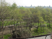 Apr. 24 2001  8:58:08 AM