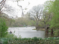 Apr. 24 2001  4:19:56 PM